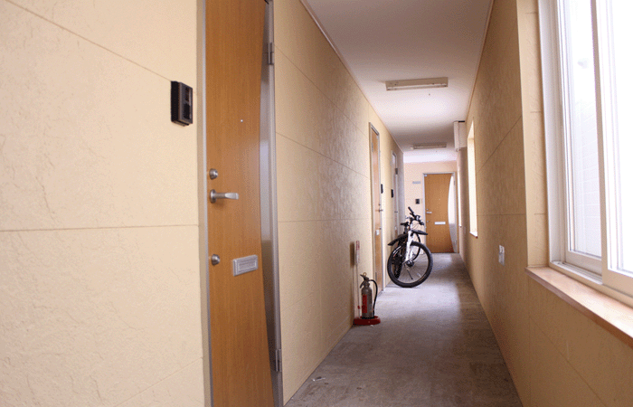 �����H�Ƒ�w���ӂ̊w���}���V�����E�A�p�[�g���ݕ��� Twinkle [�c�C���N��]/������Ѓ^�C�K